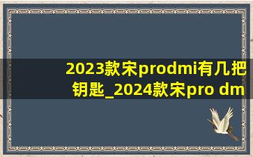 2023款宋prodmi有几把钥匙_2024款宋pro dm-i只有一把钥匙吗